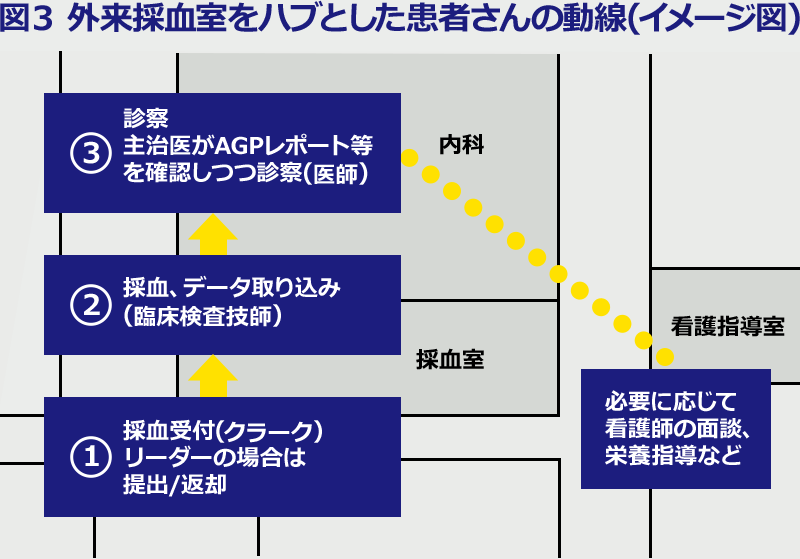 図3 外来採血室をハブとした患者さんの動線（イメージ図）①採血受付（クラーク）リーダーの場合は提出／返却 → ②採血、データ取り込み（臨床検査技師） → ③診察主治医がAGPレポート等を確認しつつ診察（医師） 必要に応じて看護師の面談、栄養指導など